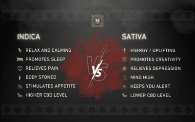 INDICA VS. SATIVA