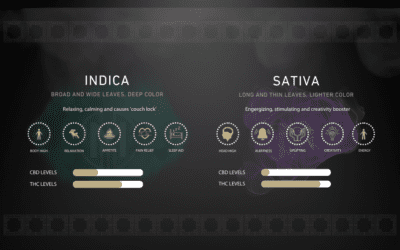 Indica vs. Sativa